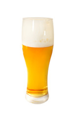 Light   beer in a tall glass photographed on a white background