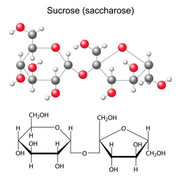 Structural chemical formula and model of sucrose