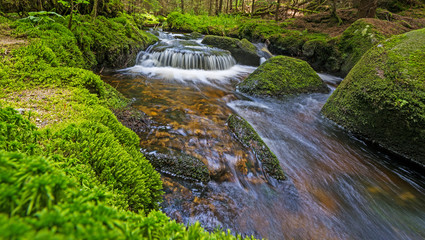 brook in forest (Jelen&iacute; potok, Sumava, Czech republic, Europe)