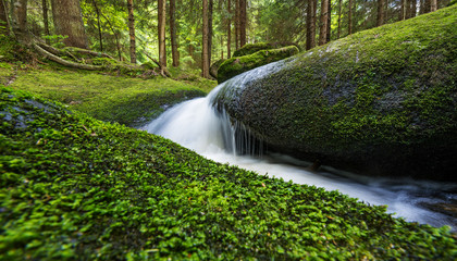 brook in forest , Sumava, Czech republic, Europe