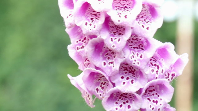 thimble