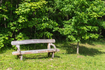 Old wooden bench in a city park