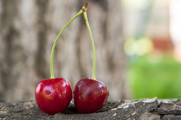 Fresh red cherry on birch logs