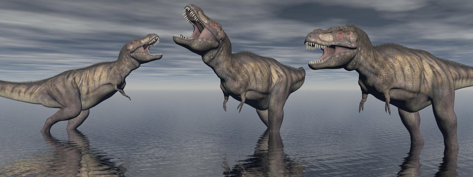 three tyrannosaure dinosaur - 3d render