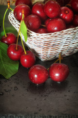 Ripe Sweet Cherries in Basket 