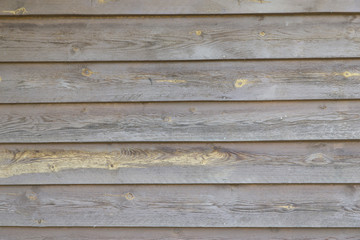 Obraz premium wooden background