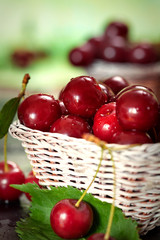 Ripe Sweet Cherries in Basket 