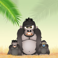 gorillas
