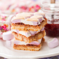 Marshmallow Jam Slice