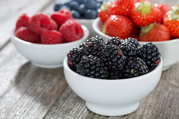 blackberries in bowl and fresh garden berries