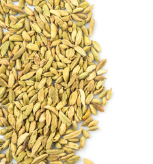 Cardamom spices over white background