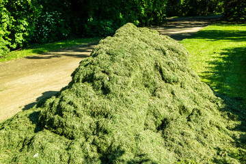 Grashaufen im Park