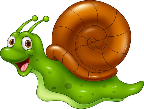 Cute cartoon snail on white background