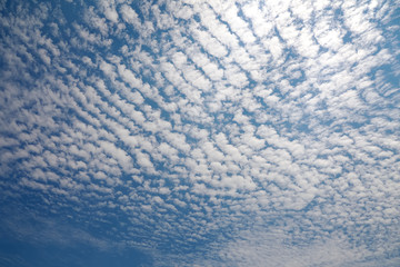 Cirrocumulus Cloud