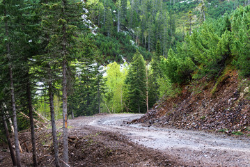 Gory Ridge Miao Chan in the Russian Far East.