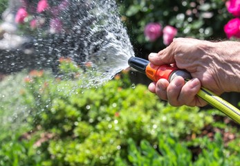 Bewässerung der Blumenbeete