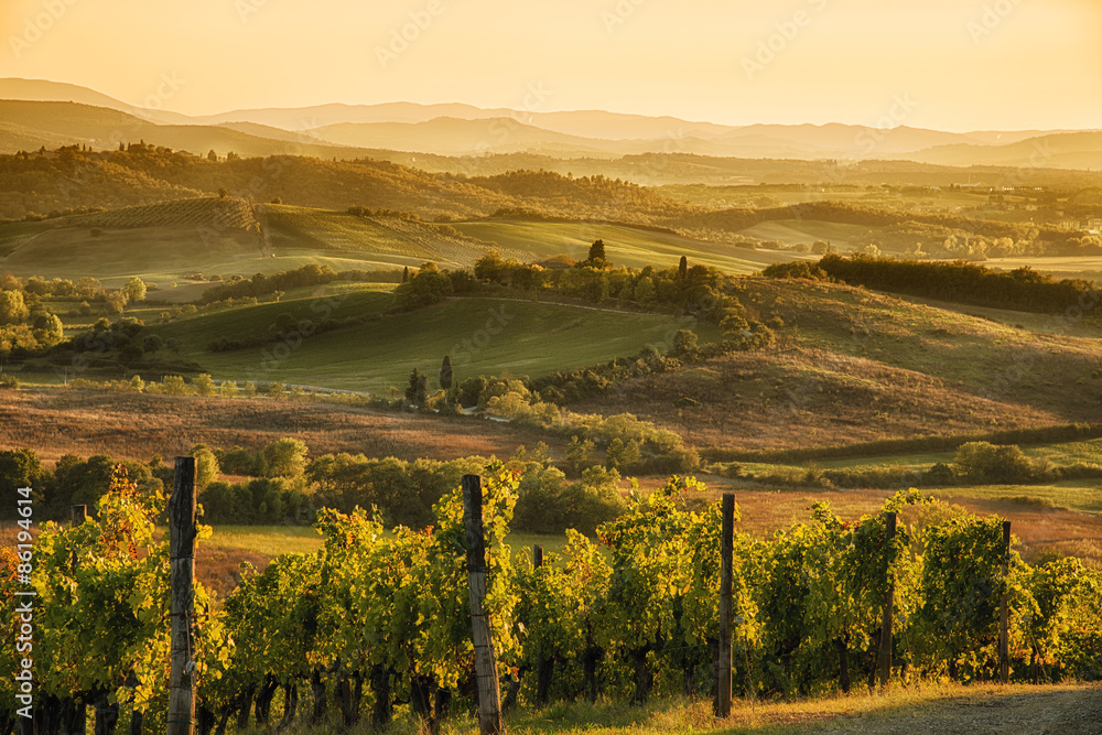 Wall mural sunset in chianti