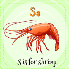 Shrimp