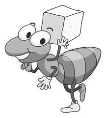 Insect