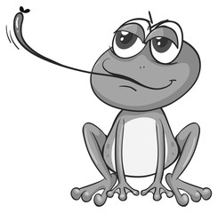 Frog eating bug