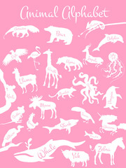 Animal alphabet poster for children. Animals silhouettes with
