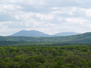 Fototapeta premium OLYMPUS DIGITAL CAMERA