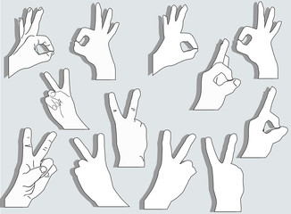 Fototapeta premium set of twelve hands isolated on grey