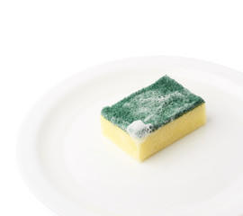 Foam covered sponge over ceramic plate