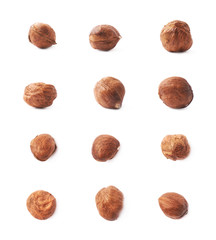 Single hazelnut isolated