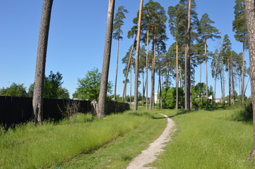 Брянская природа