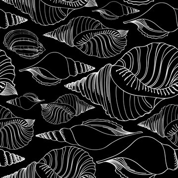 Shell seamless pattern. Sea shells vector background 