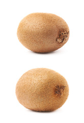 Single whole kiwifruit isolated