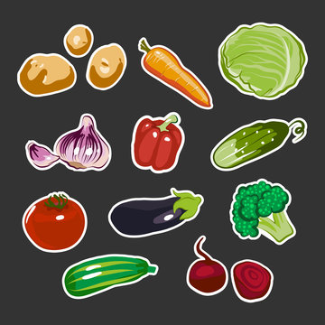 Collection of Vector Vegetables Stickers.