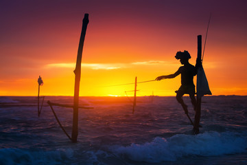 Sri Lanka's Stilt Fisherman - 86200623