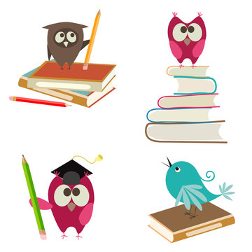 cute birds with books and pencils