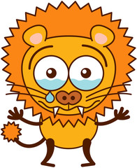 Cute lion crying disconsolately and looking for reassurance 
