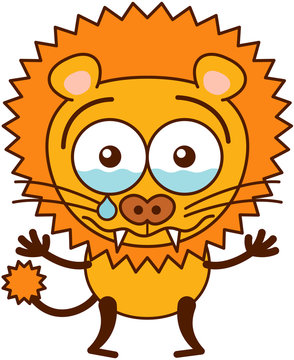 Cute lion crying disconsolately and looking for reassurance 