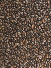 Coffee beans background