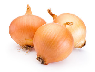 Three onion bulbs isolated on white background