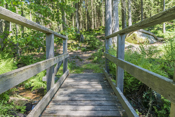 Idyllische Brücke im Wald