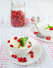 Vanilla ice cream with wild strawberry