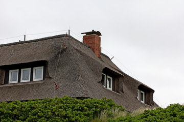 Fototapeta na wymiar House with thatched roof
