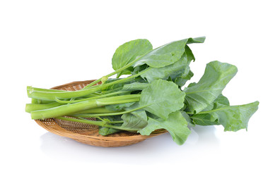 chinese broccoli  on white background