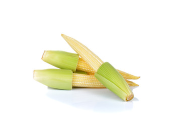 Baby corn on a white background