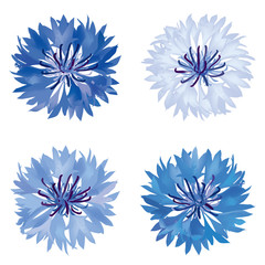 Flowers decor elements for framework. Flower bluebell decoration for frame. Abstract Floral border set