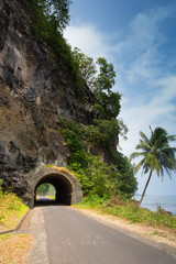 Fototapeta na wymiar Tunnel on a Tropical Road