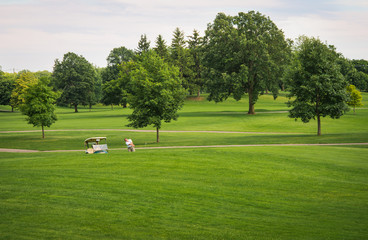Fototapeta premium Summer on Golf Course