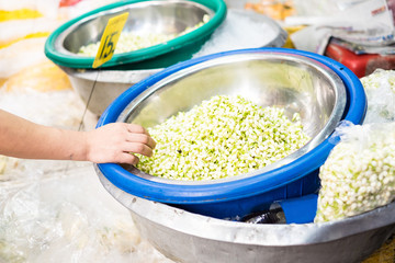 Flower market in Thailand,jasmine saler hand on bucket of jasmin