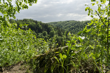 Fototapeta na wymiar green valley