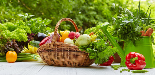 Fresh organic vegetables and fruits on wood table in the garden